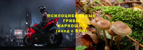 mix Белокуриха